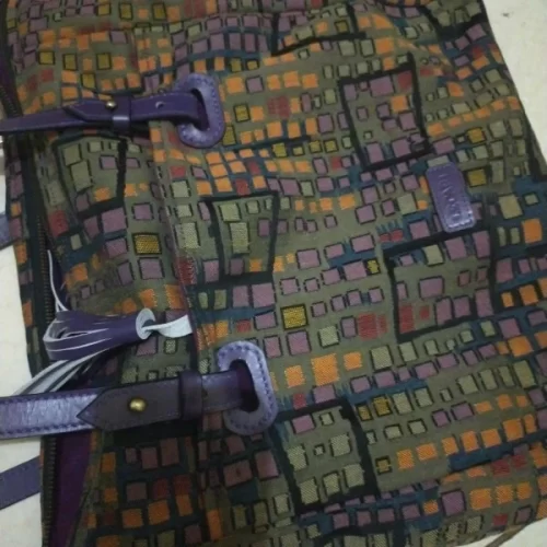 Tiara Totebag photo review